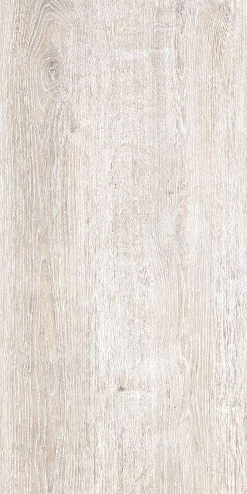 Arbor Bianco