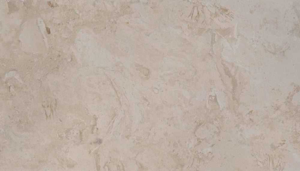 Trace Limestone